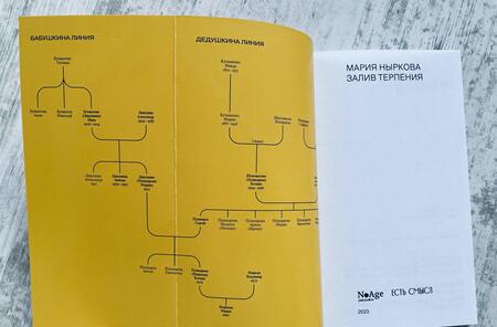 Фотография книги "Ныркова: Залив Терпения"