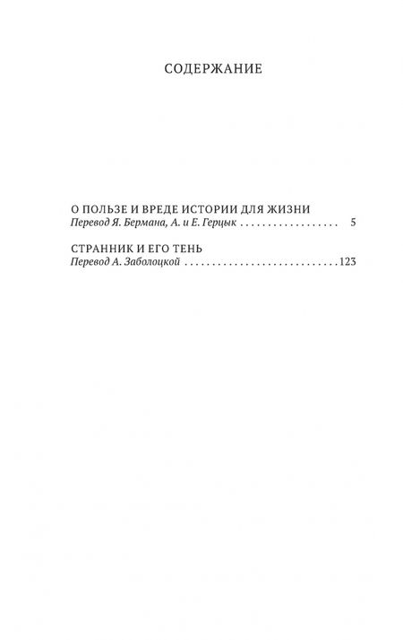 Фотография книги "Ницше: Странник и его тень"
