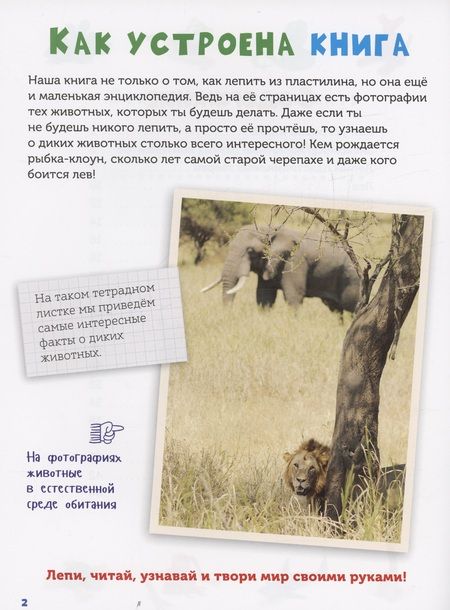 Фотография книги "Норберт Паутнер: Лепим из пластилина. Изучаем животных"