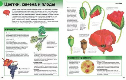 Фотография книги "Новая энциклопедия школьника"