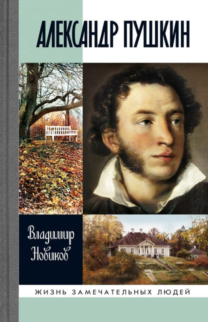 Обложка книги "Новиков: Александр Пушкин"