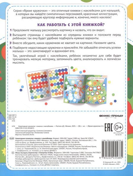 Фотография книги "Новогодние каникулы: книжка с наклейками. 96 наклеек"