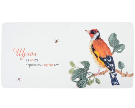 Фотография книги "Нталья Елизарова: Где твоя птица?"