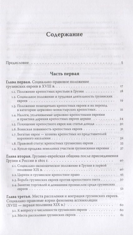 Фотография книги "Нугзар Тер-Оганов: Евреи Грузии. Социально-правовой статус и экономическое положение евреев в Грузии"