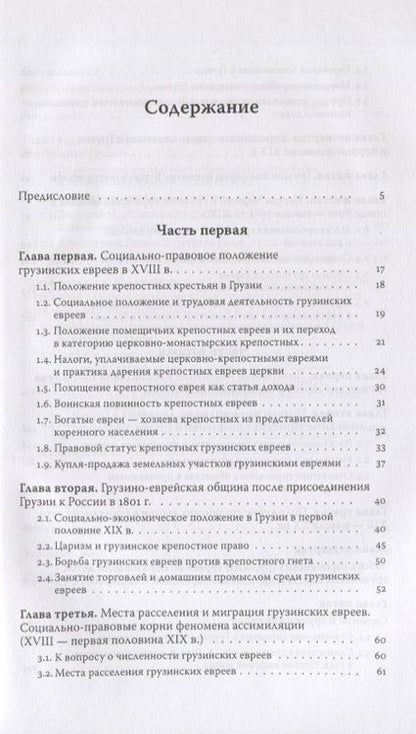 Фотография книги "Нугзар Тер-Оганов: Евреи Грузии. Социально-правовой статус и экономическое положение евреев в Грузии"