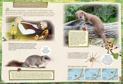 Фотография книги "Нурдквист, Корда: Петсон и Финдус изучают животных"