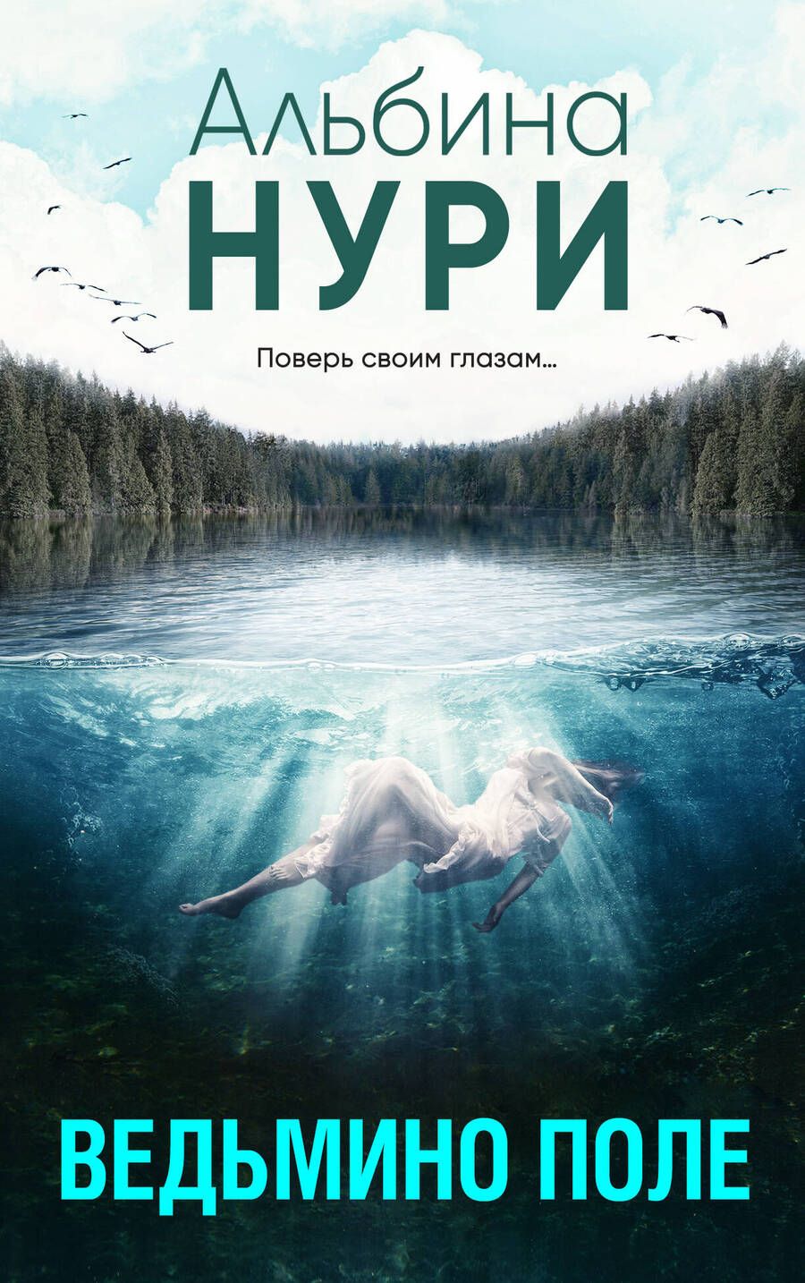 Обложка книги "Нури: Ведьмино поле"