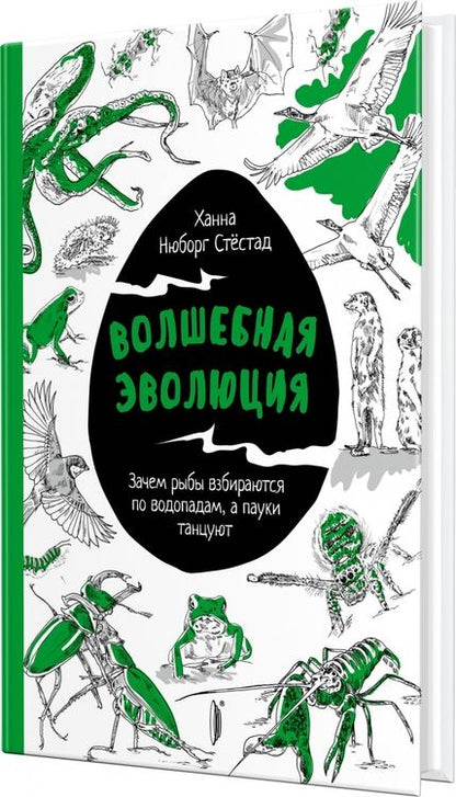Фотография книги "Нюборг: Волшебная эволюция. Зачем рыбы взбираются по водопадам, а пауки танцуют"
