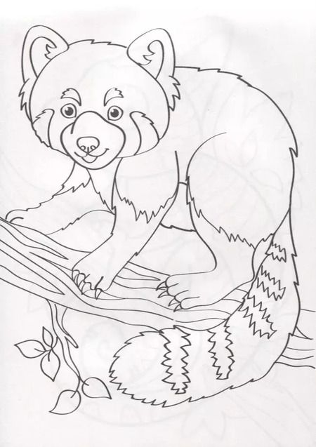 Фотография книги "О. Рожина: Зоопарк. Комплект раскрасок для детских садов и центров развития. 100 листов"