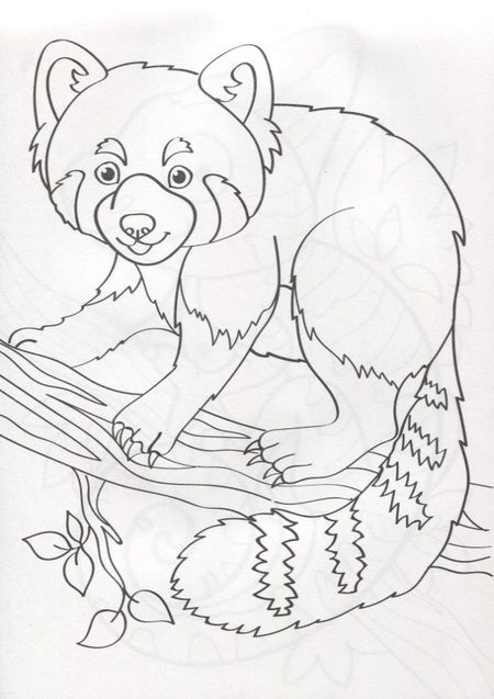 Фотография книги "О. Рожина: Зоопарк. Комплект раскрасок для детских садов и центров развития. 100 листов"