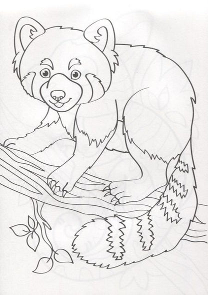 Фотография книги "О. Рожина: Зоопарк. Комплект раскрасок для детских садов и центров развития. 100 листов"