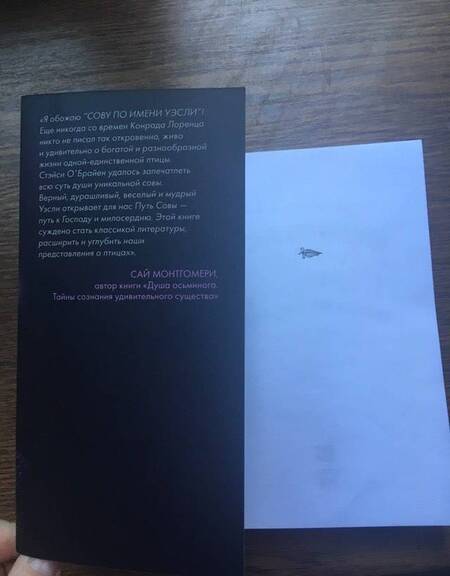 Фотография книги "О`Брайен: Сова по имени Уэсли. История любви совы и человека"