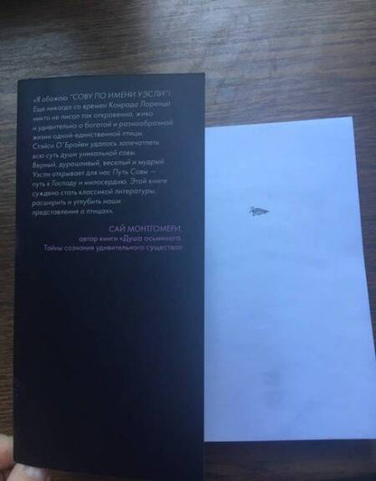 Фотография книги "О`Брайен: Сова по имени Уэсли. История любви совы и человека"