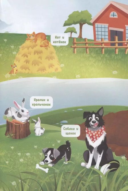 Фотография книги "О чем думают животные?"