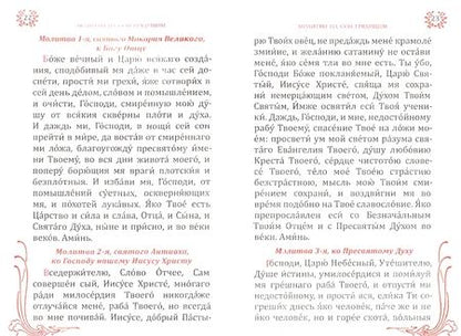 Фотография книги "О детях возгласим молитвы"