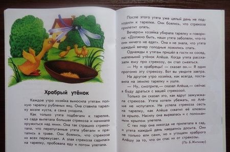 Фотография книги "О дружбе"