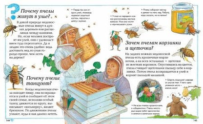 Фотография книги "О'Нейлл, Макдональд, Ганери: Где, что и когда?"