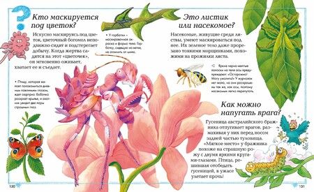 Фотография книги "О'Нейлл, Макдональд, Ганери: Где, что и когда?"