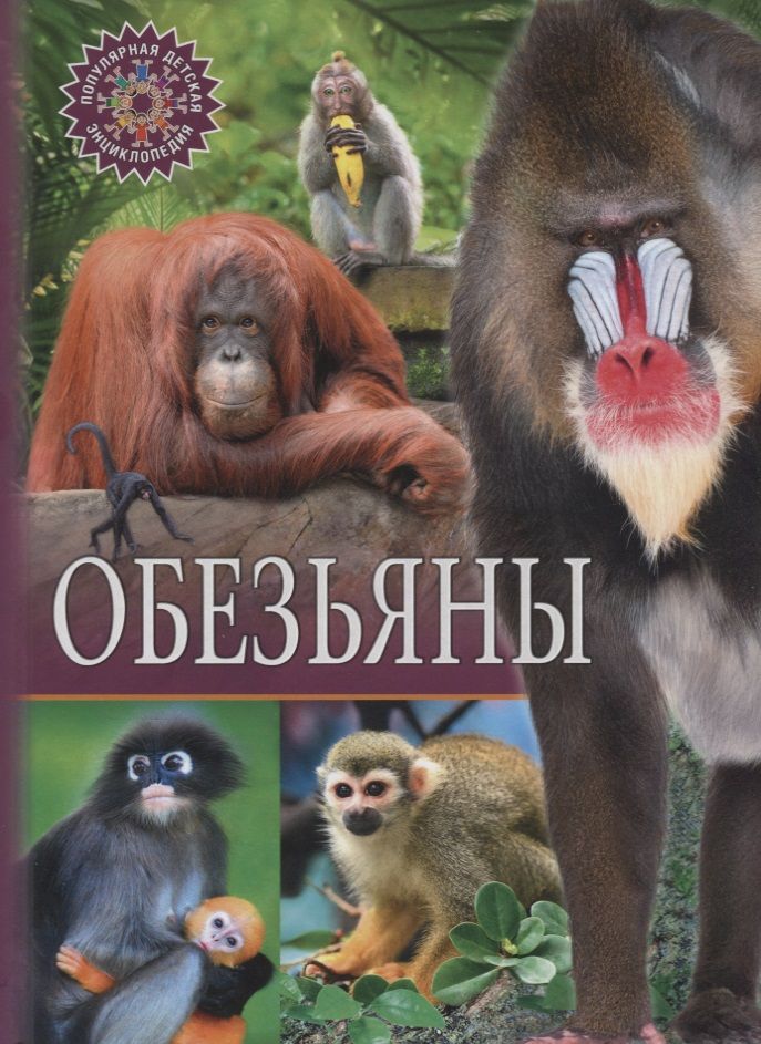 Обложка книги "Обезьяны"