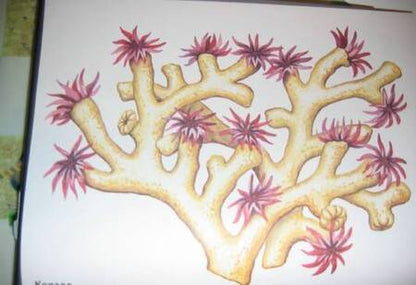 Фотография книги "Обитатели океана в картинках. Наглядное пособие для педагогов, логопедов, воспитателей и родителей"