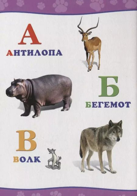 Фотография книги "Обо всём на свете.  Алфавит"