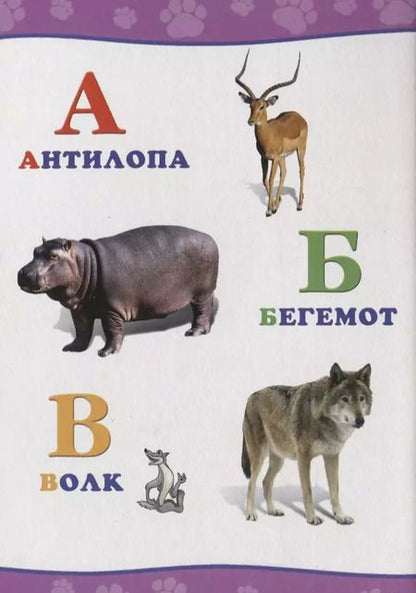 Фотография книги "Обо всём на свете.  Алфавит"