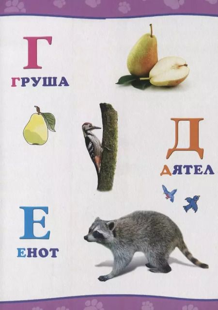 Фотография книги "Обо всём на свете.  Алфавит"