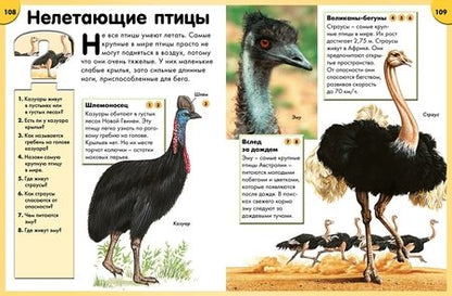 Фотография книги "Обо всём на свете в вопросах и ответах"