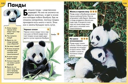 Фотография книги "Обо всём на свете в вопросах и ответах"
