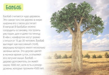 Фотография книги "Обучающая книга «Деревья»"