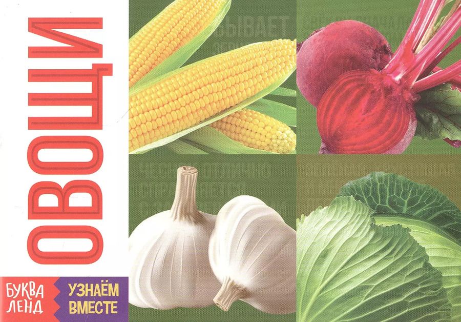 Обложка книги "Обучающая книга «Овощи»"