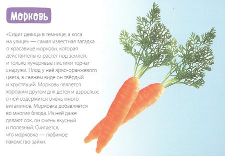 Фотография книги "Обучающая книга «Овощи»"