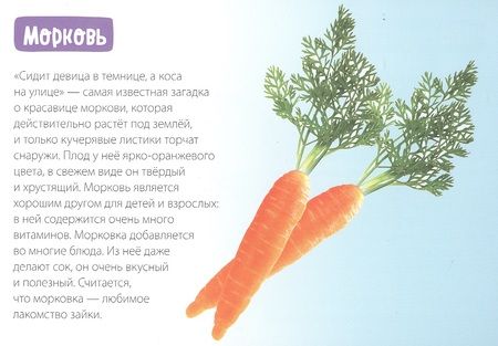 Фотография книги "Обучающая книга «Овощи»"