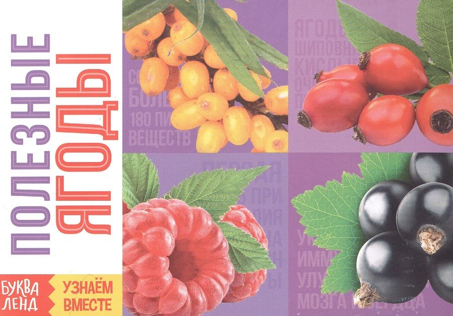 Обложка книги "Обучающая книга «Полезные ягоды»"
