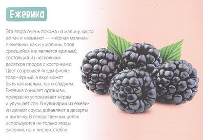 Фотография книги "Обучающая книга «Полезные ягоды»"