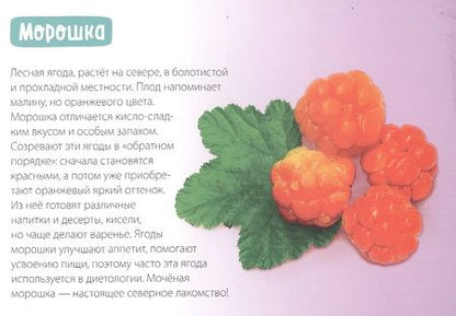 Фотография книги "Обучающая книга «Полезные ягоды»"