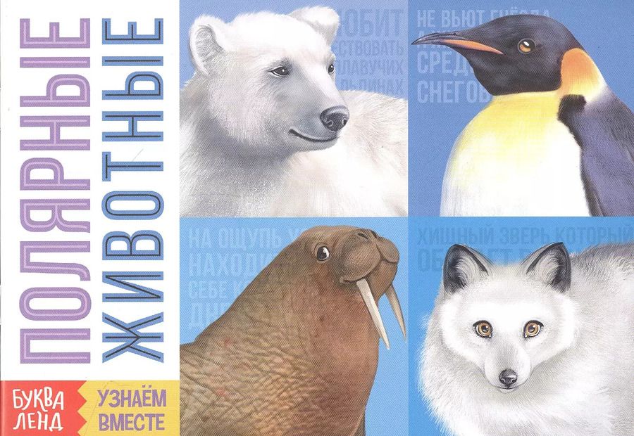 Обложка книги "Обучающая книга «Полярные животные»"
