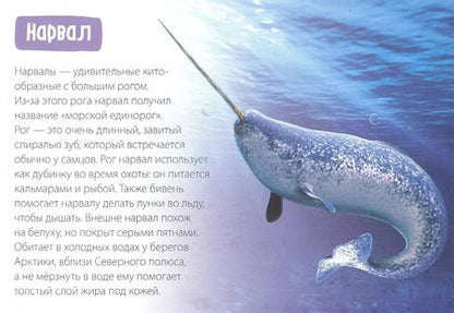 Фотография книги "Обучающая книга «Полярные животные»"