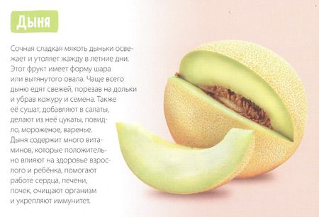 Фотография книги "Обучающая книга «Сочные фрукты»"