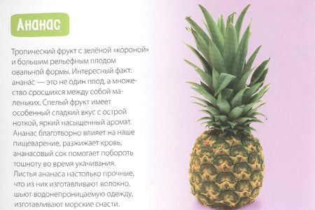 Фотография книги "Обучающая книга «Сочные фрукты»"
