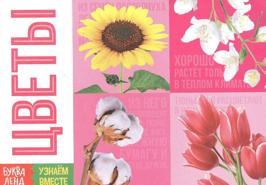 Обложка книги "Обучающая книга «Цветы»"