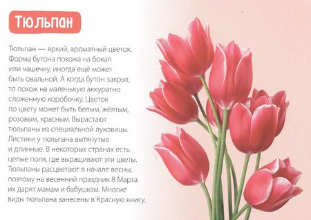 Фотография книги "Обучающая книга «Цветы»"