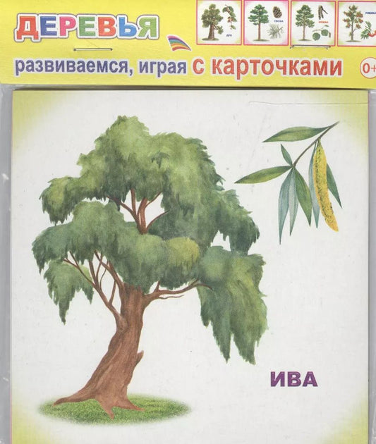 Обложка книги "Обучающие карточки. Деревья"