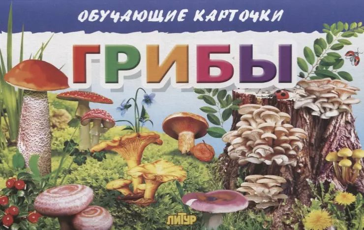 Обложка книги "Обучающие карточки "Грибы""