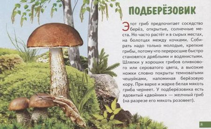 Фотография книги "Обучающие карточки "Грибы""