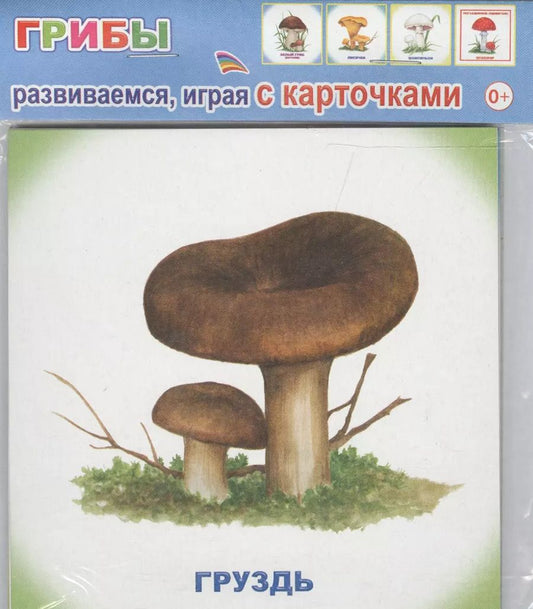 Обложка книги "Обучающие карточки Грибы (упаковка) (978-5-91282-754-9)"