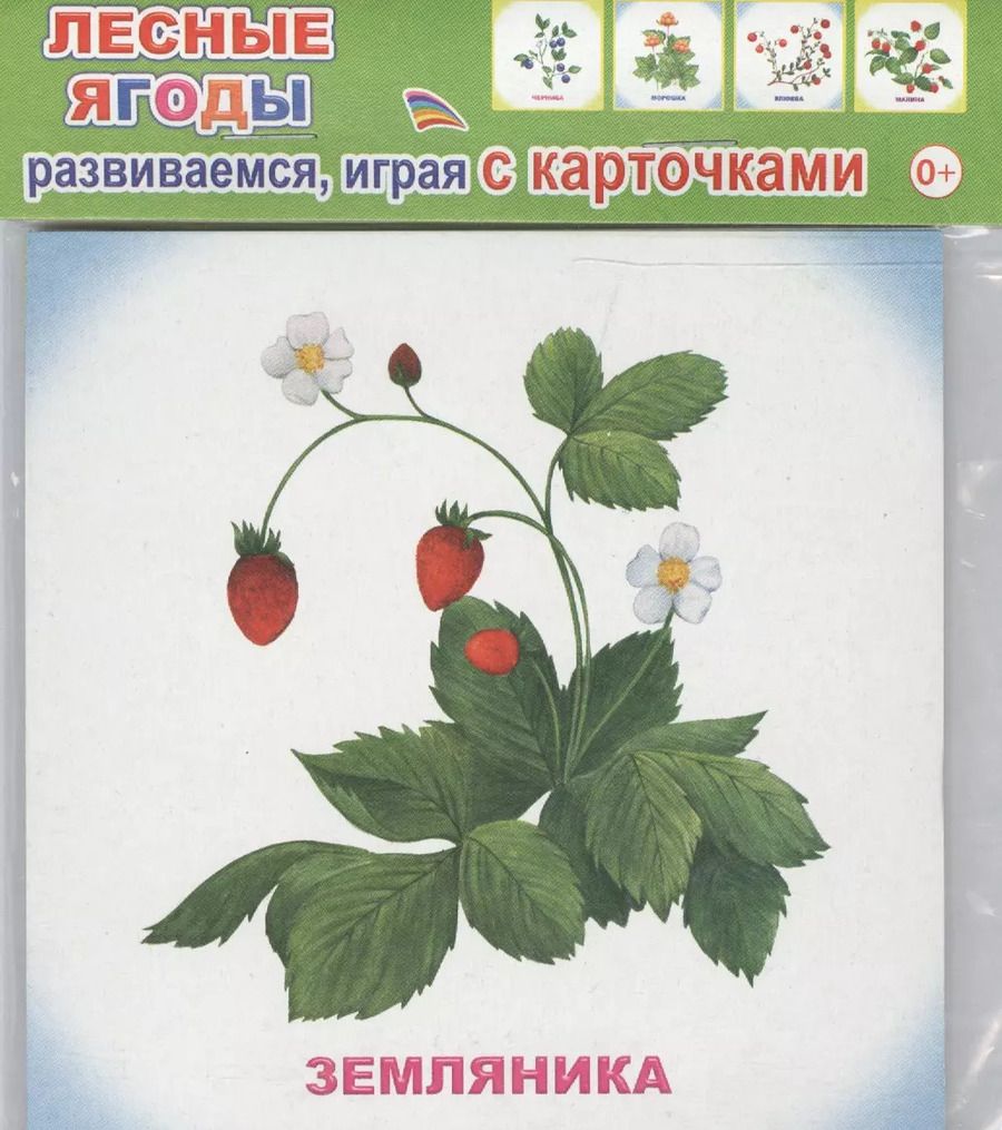 Обложка книги "Обучающие карточки Лесные ягоды (упаковка) (978-5-91282-757-0)"