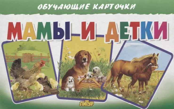 Обложка книги "Обучающие карточки "Мамы и детки""