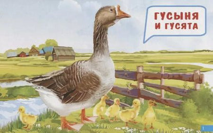 Фотография книги "Обучающие карточки "Мамы и детки""