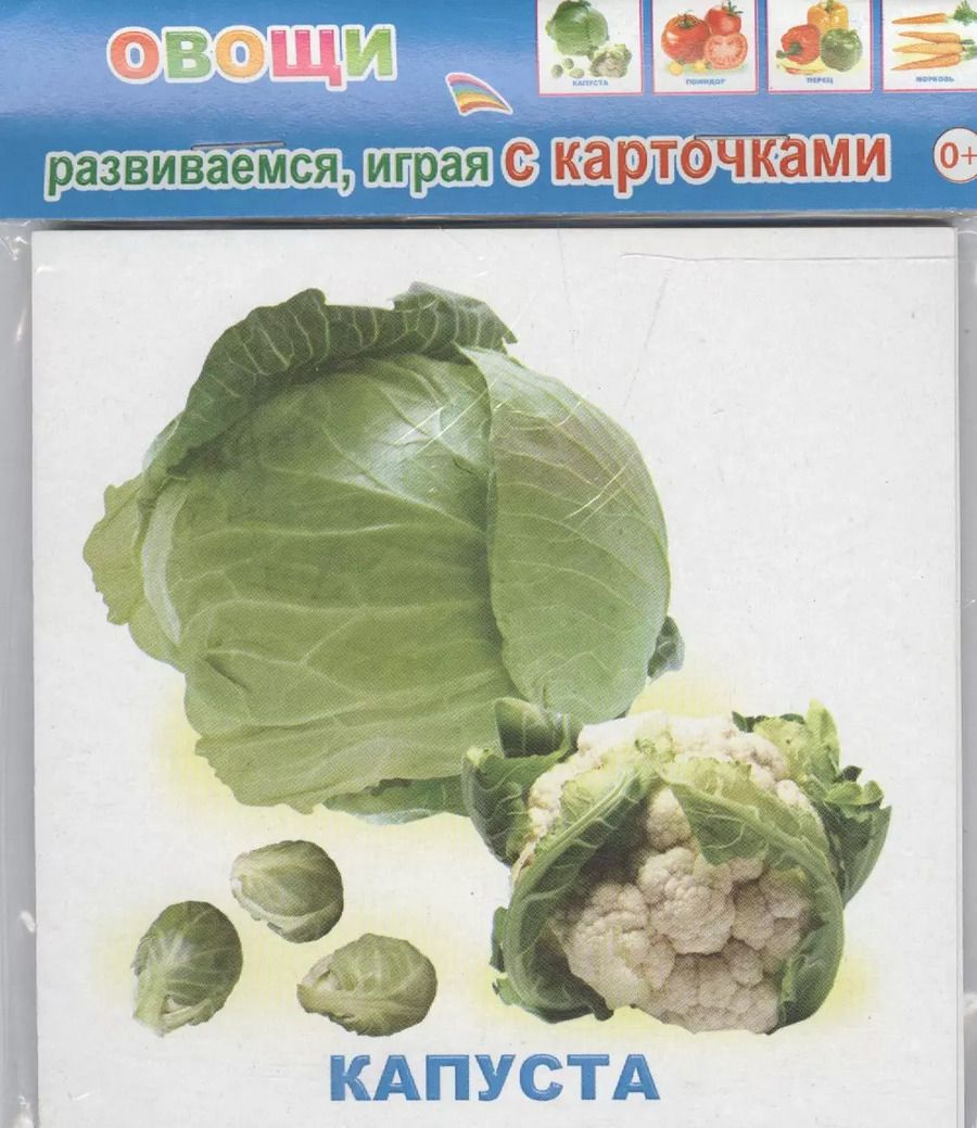 Обложка книги "Обучающие карточки Овощи (упаковка) (978-5-91282-664-1)"